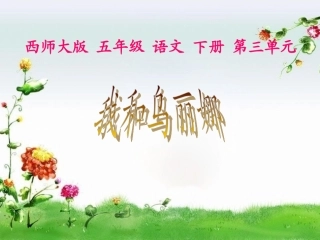 (西师大版)五年级语文下册课件_我和乌丽娜1