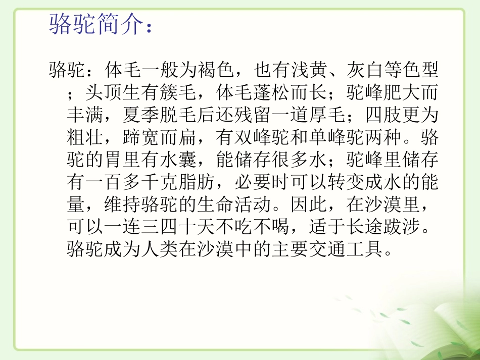 找骆驼 课件_第2页