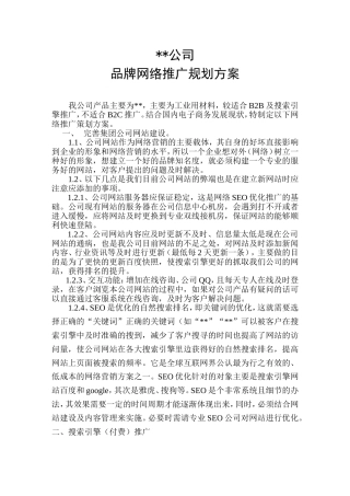 某公司品牌网络推广方案