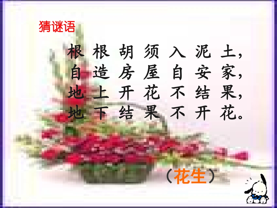 五年级语文上册落花生_第1页