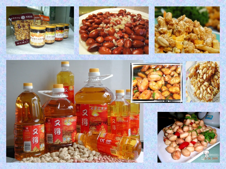 五年级语文上册落花生_第3页