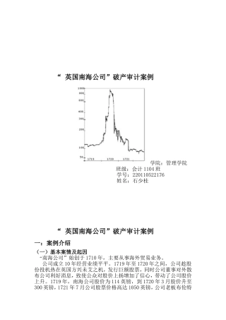 南海公司案例分析审计作业