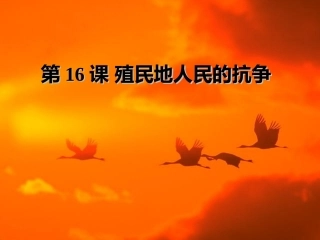 人教版历史九年级上第16课《殖民地人民的抗争》课件
