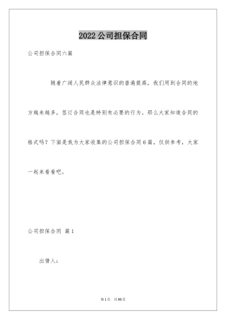 2024公司担保合同_27