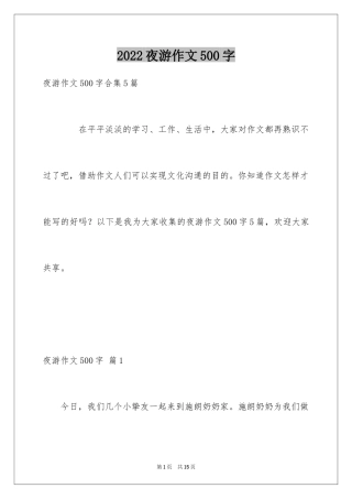 2024夜游作文500字