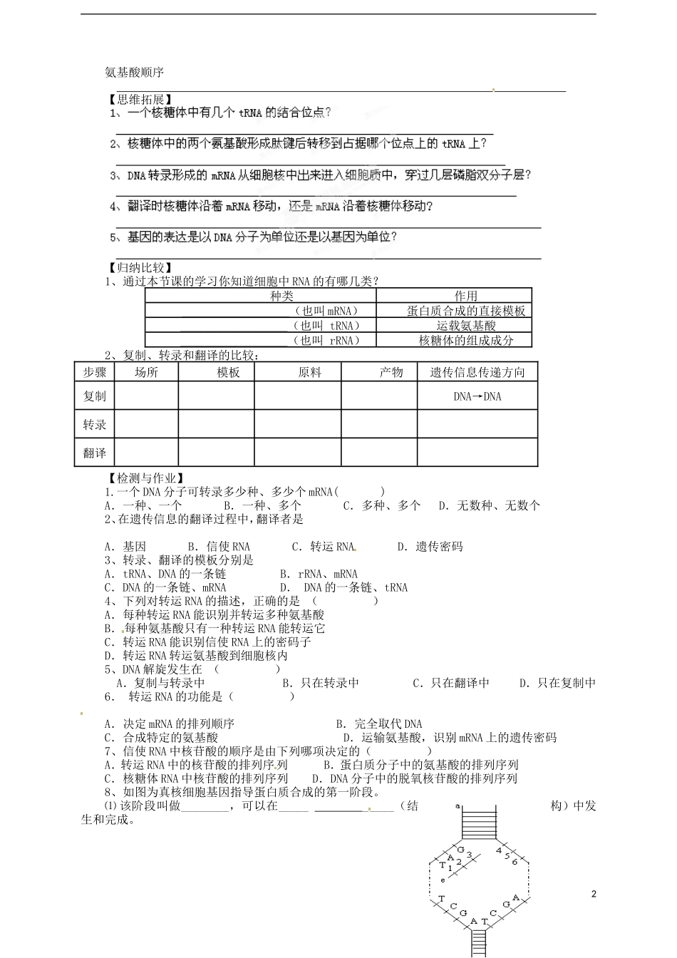 山东省武城县第二中学高中生物《4.1基因指导蛋白质的合成》学案 新人教版必修2_第2页