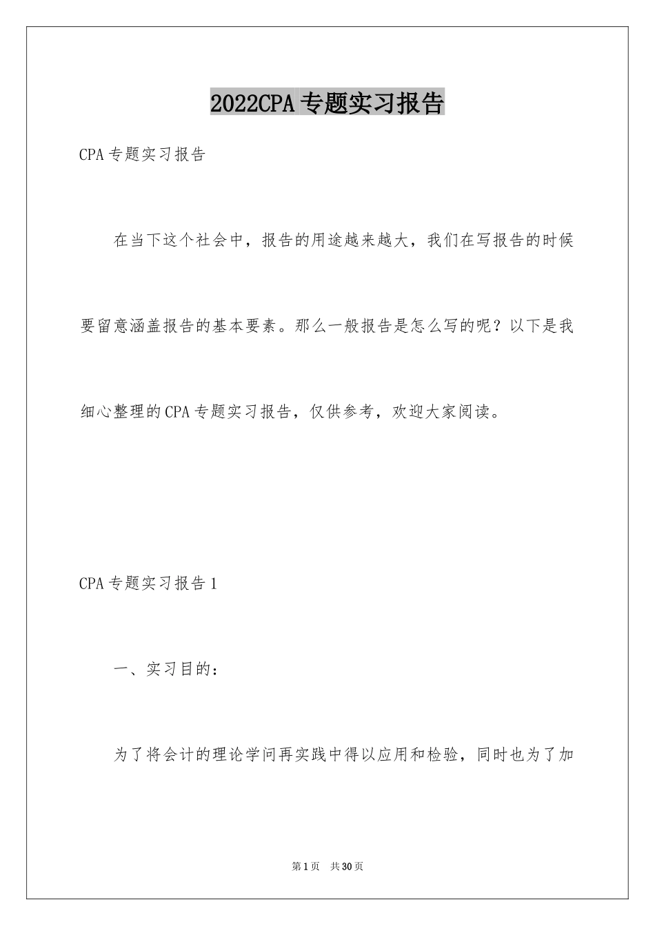 2024CPA专题实习报告_第1页