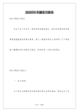 2024CPA专题实习报告