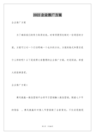 2024企业推广方案