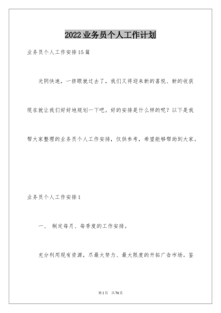 2024业务员个人工作计划_20