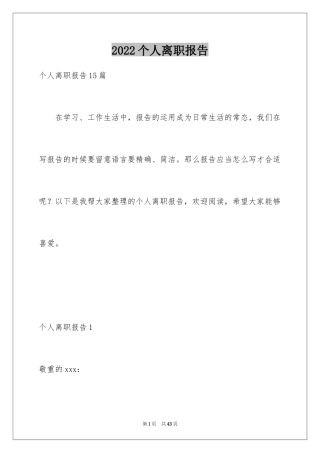 2024个人离职报告_15