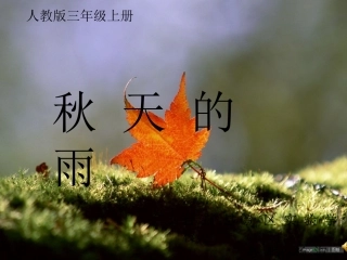 秋天的雨课件