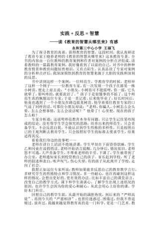 实践[1]反思智慧