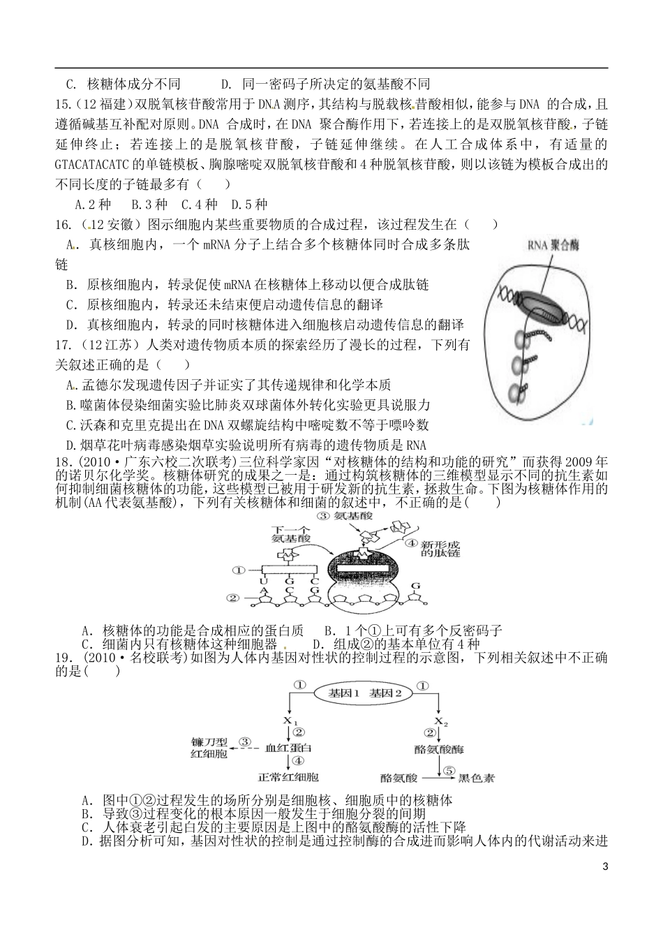 山西省朔州市平鲁区李林中学高中生物《小卷子1》导学案 苏教版必修2_第3页
