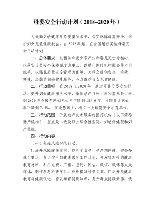 母婴安全行动计划(2018-2020年)
