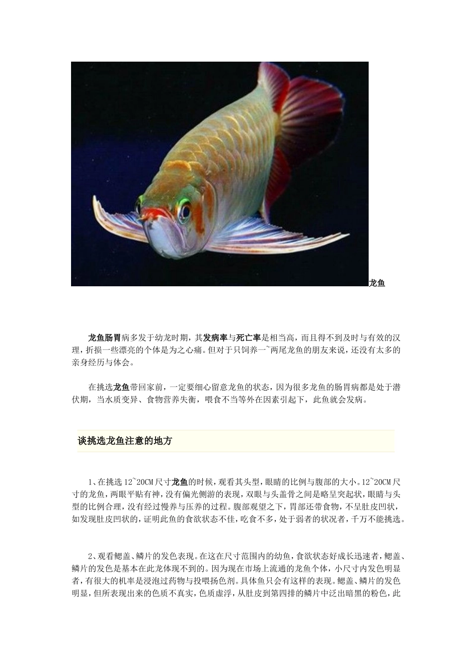 龙鱼疾病防治-超全面-知识大全_第1页