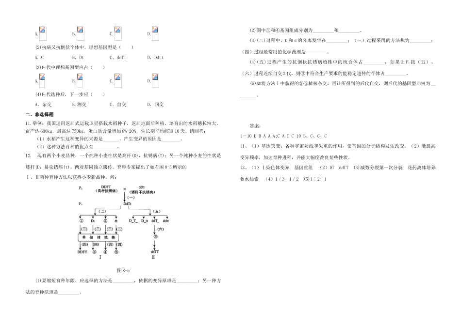 高中生物 第6章 从杂交育种到基因工程 第1节 杂交育种和诱变育种导学案 新人教版必修2-新人教版高一必修2生物学案_第3页