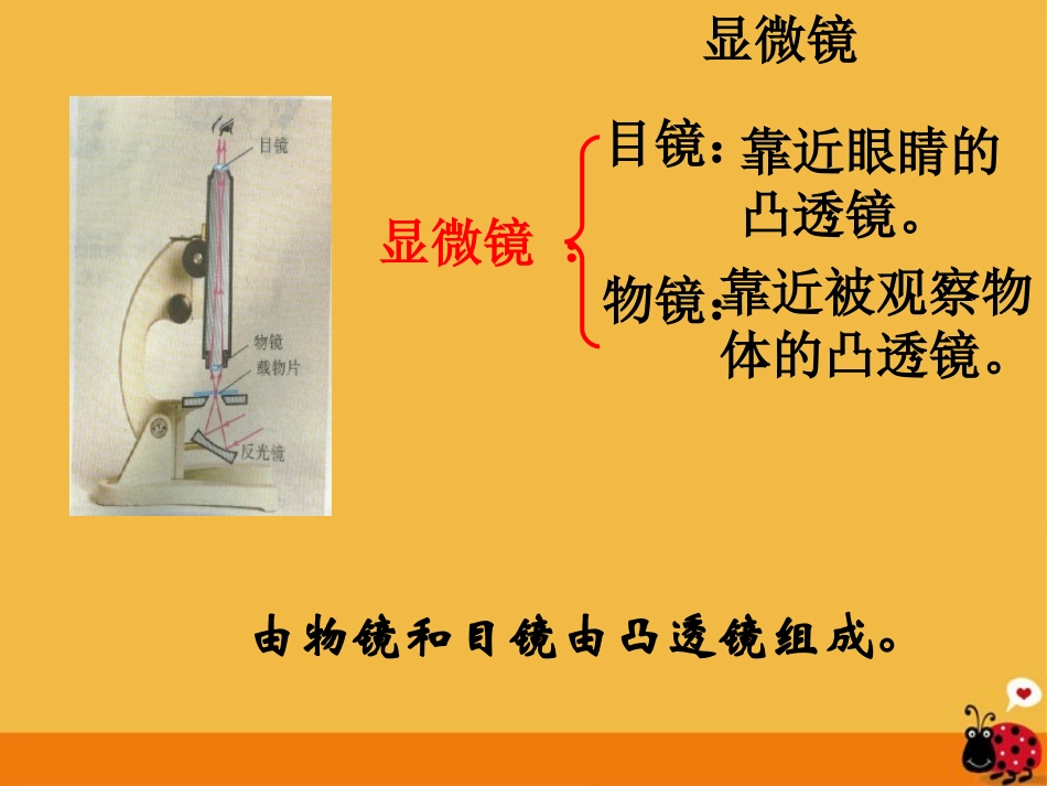 《显微镜和望远镜》课件_第2页