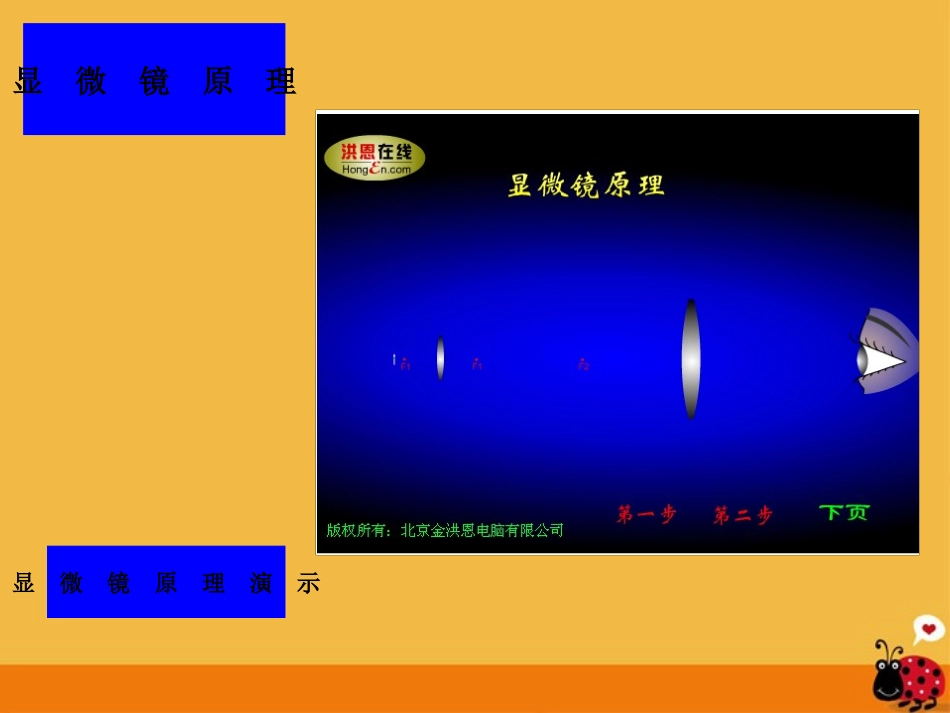 《显微镜和望远镜》课件_第3页