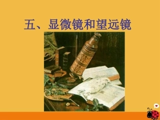 《显微镜和望远镜》课件