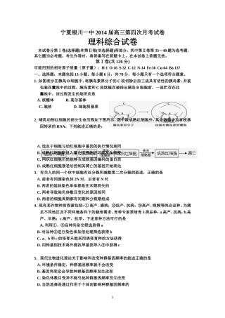 高三第四次月考理综
