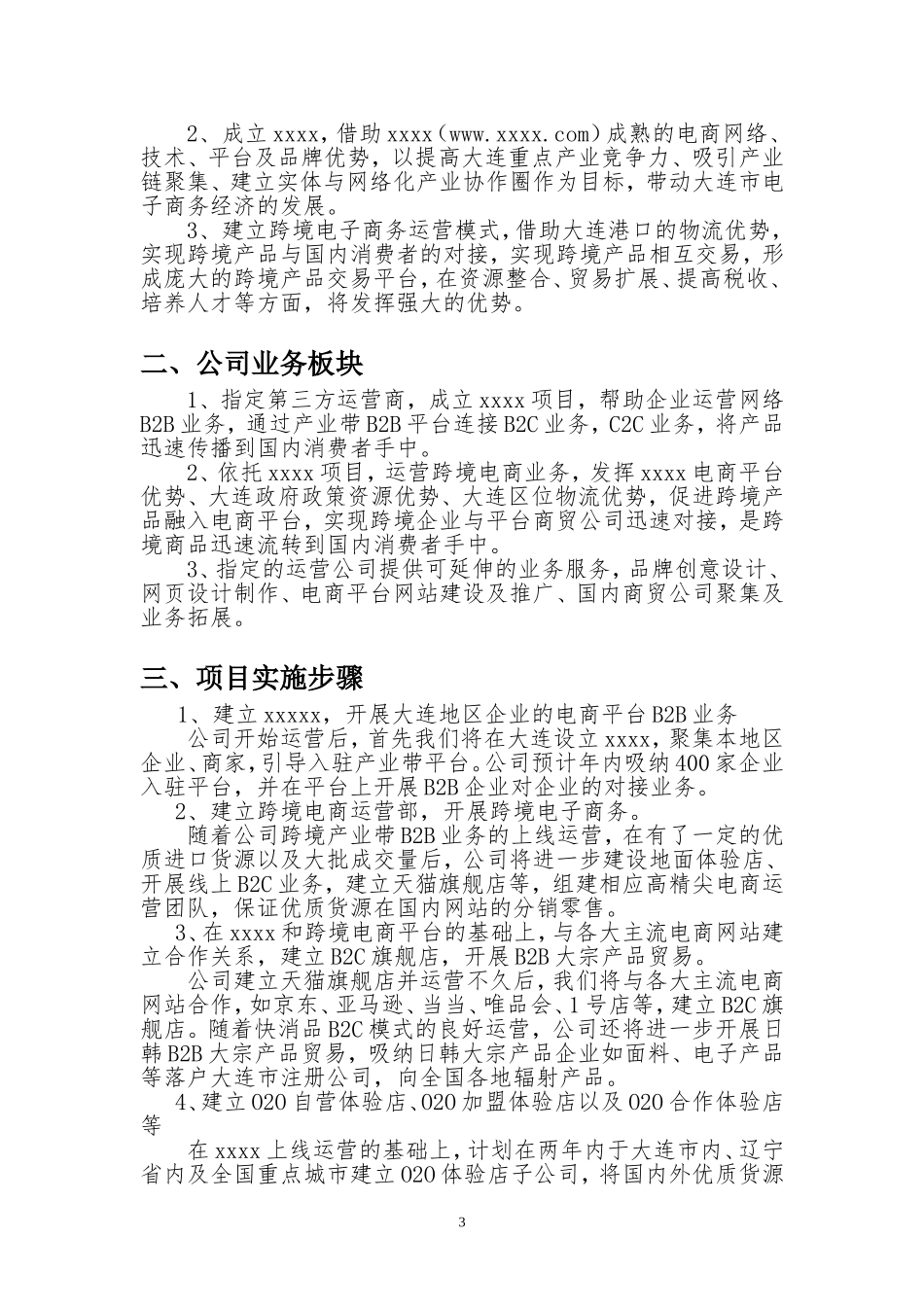 跨境电商商业计划书_第3页