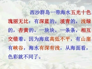 富饶的西沙群岛 (6)