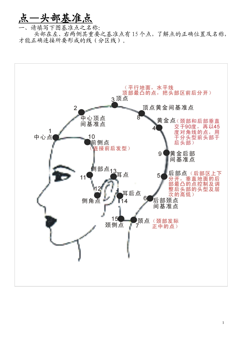 美发基础点、线、面_第1页