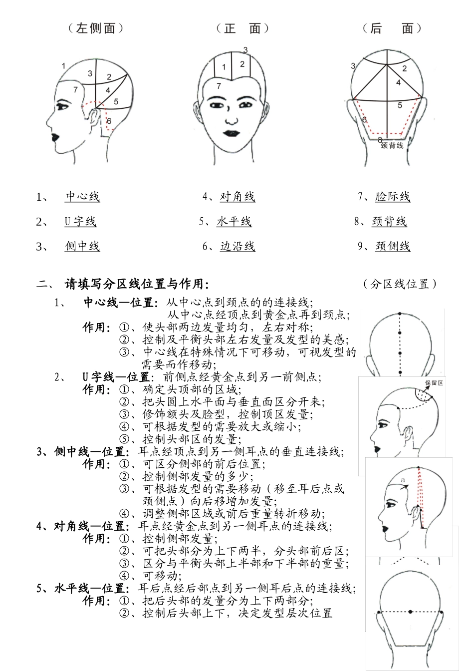 美发基础点、线、面_第3页