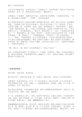 那是一次成功的尝试