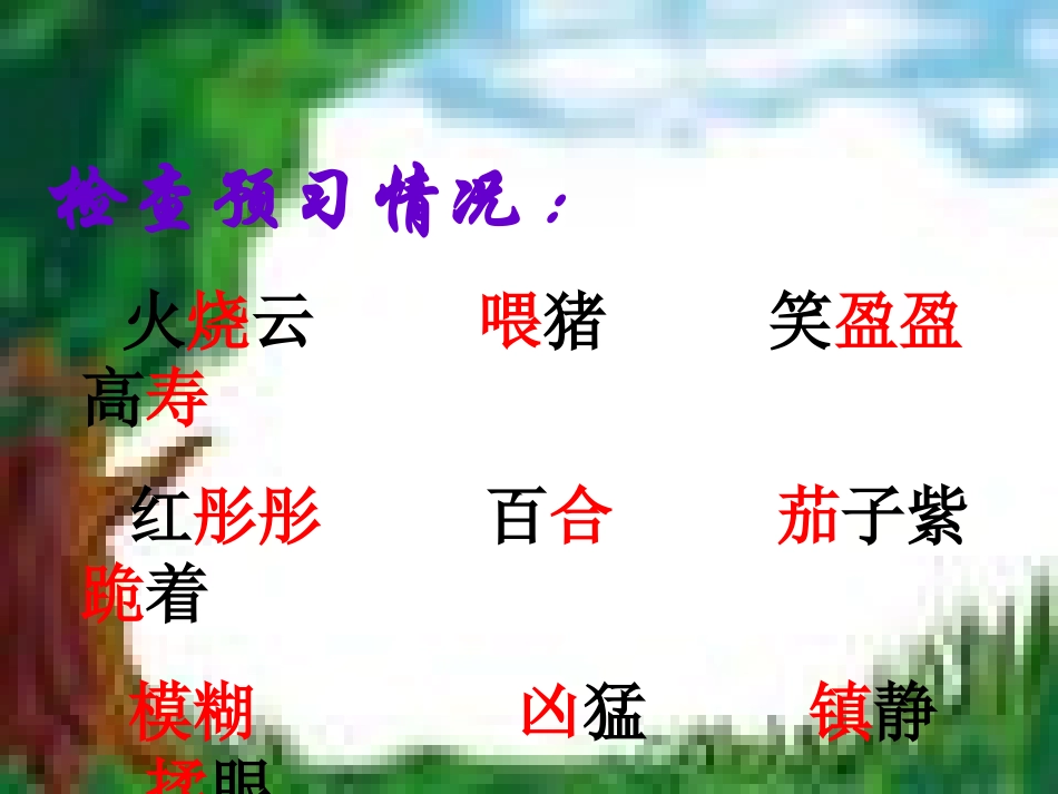 四年级《火烧云》课件1_第2页