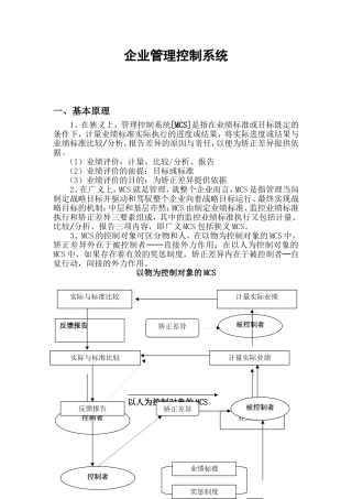 企业管理控制系统