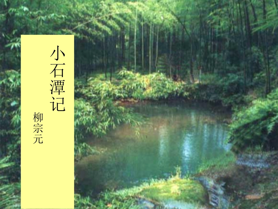 小石潭记 (5)_第1页