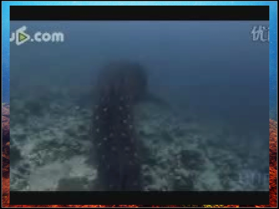 海底世界 (3)_第2页