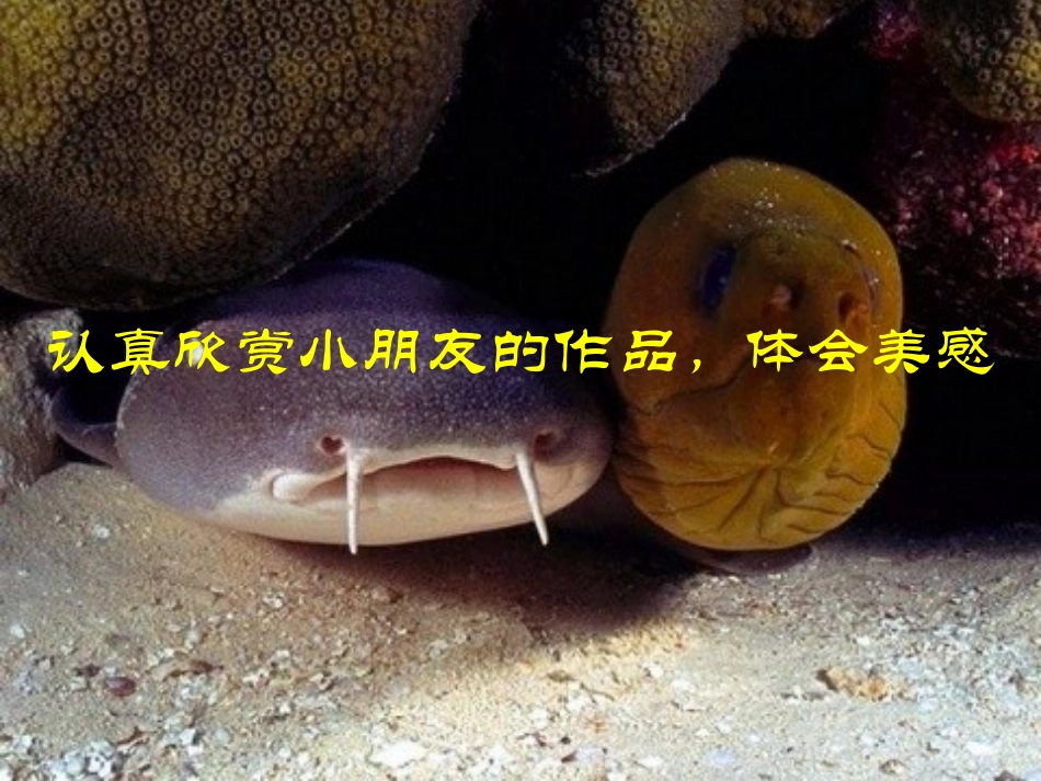 海底世界 (3)_第3页