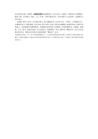 南方的春天属于木棉花