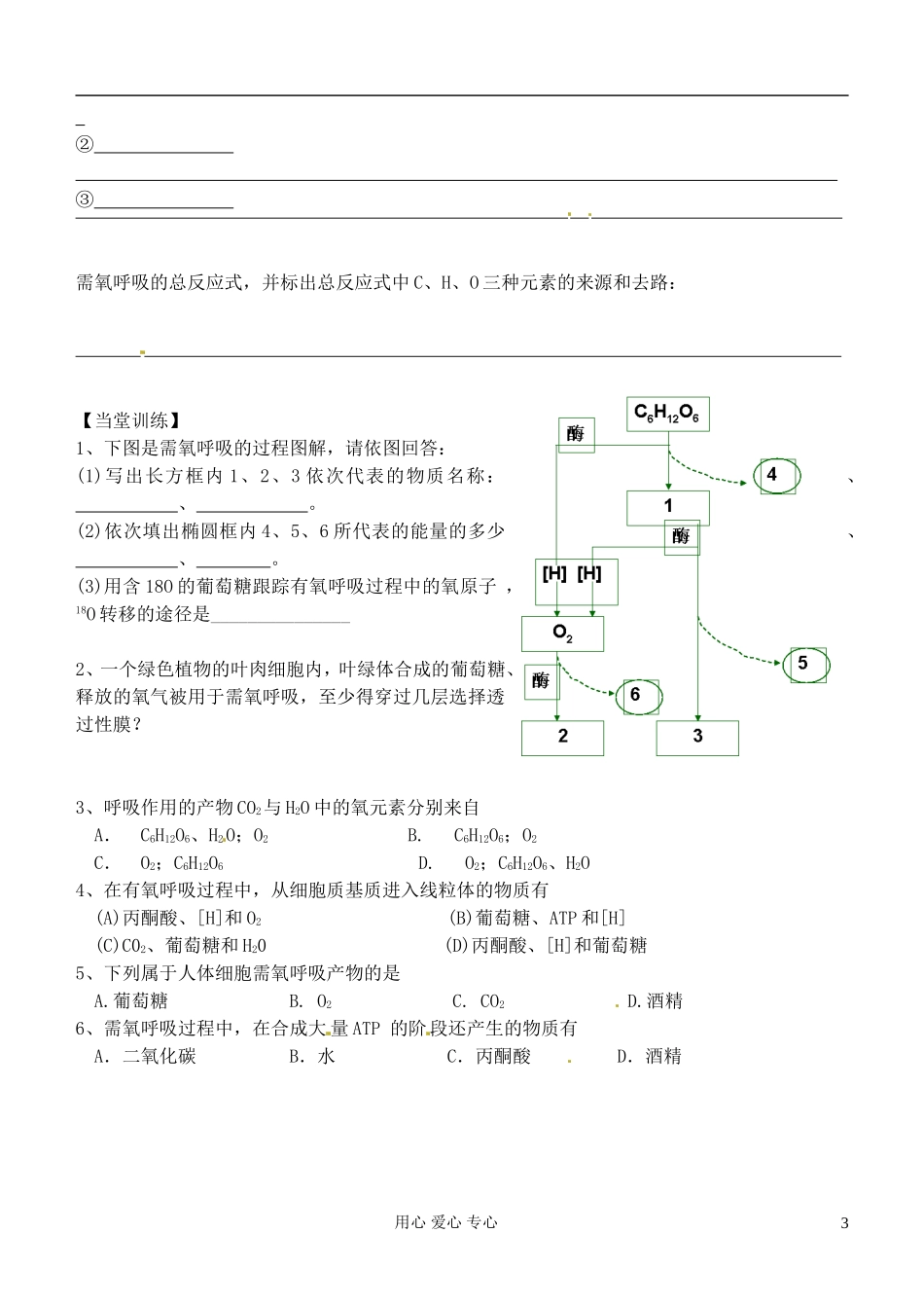 浙江省临海市白云高级中学高一生物 3.4 细胞呼吸 导学案_第3页