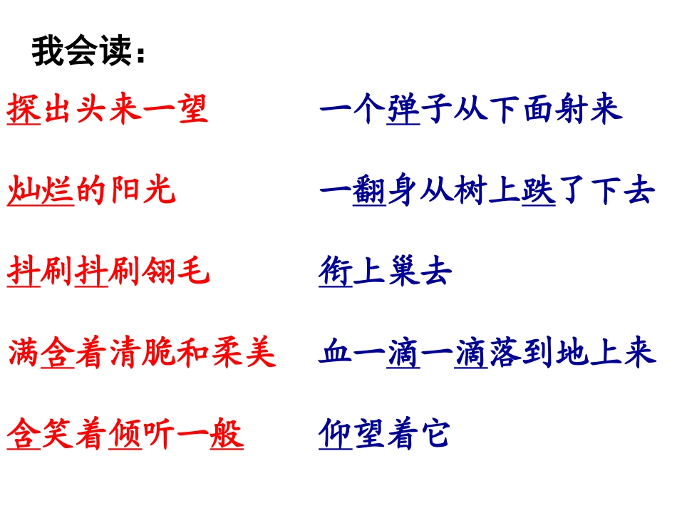 《一只小鸟》课件_第2页