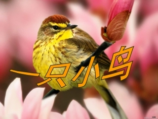 《一只小鸟》课件