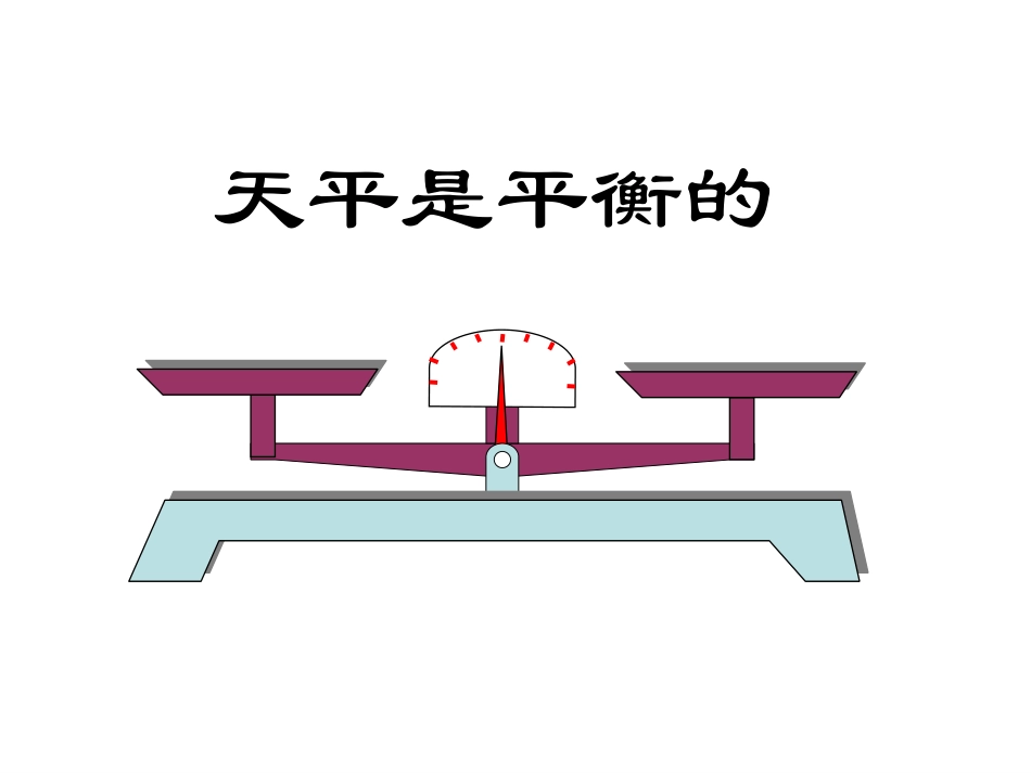 《方程的意义》_第2页