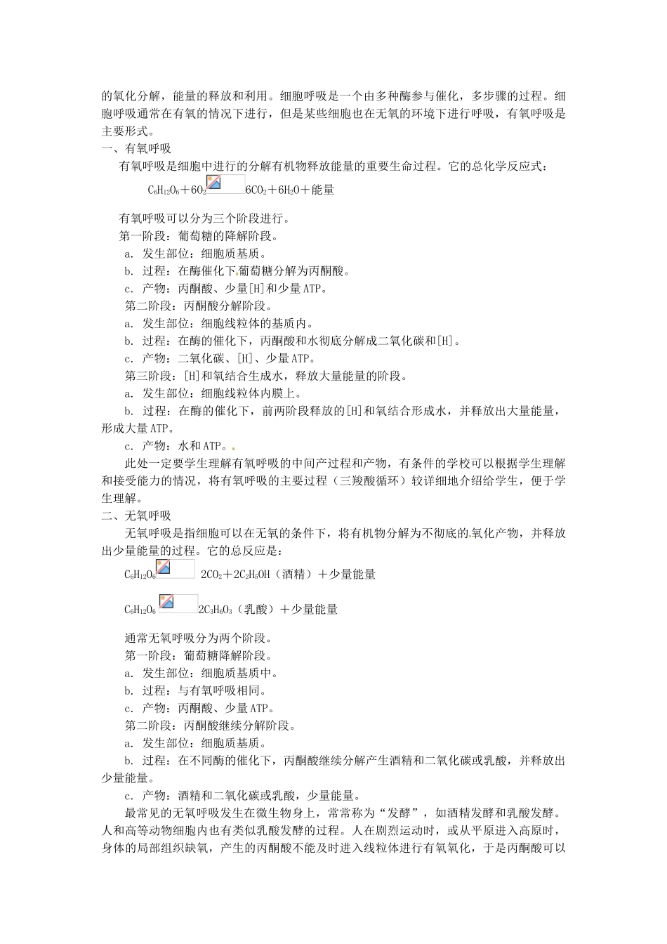 江苏省邳州二中高中生物《5.3 ATP的主要来源 细胞呼吸》教案 新人教版必修1_第3页