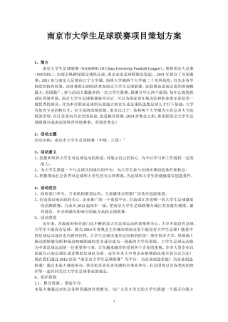 南京市大学生足球联赛项目策划方案