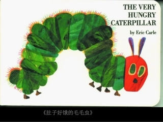 肚子好饿的毛毛虫