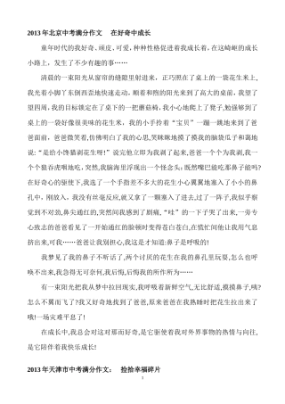 2013年北京中考满分作文