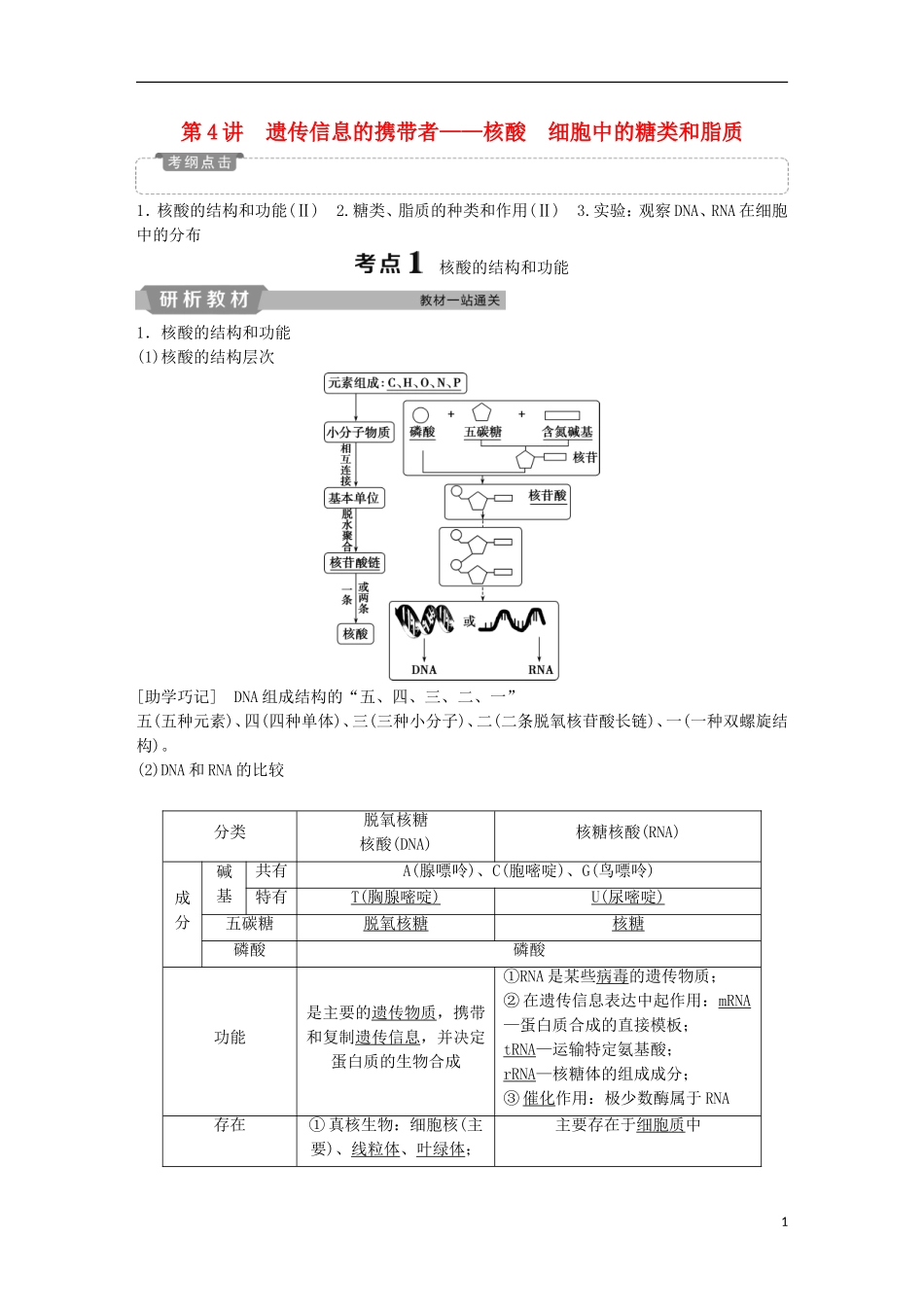 高考生物一轮复习 第一单元 细胞的分子组成 第4讲 遗传信息的携带者——核酸 细胞中的糖类和脂质学案-人教版高三全册生物学案_第1页