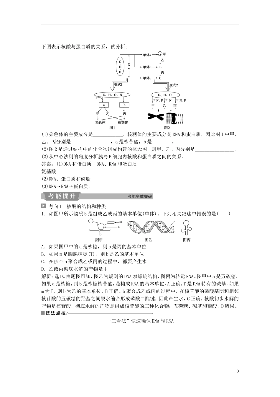 高考生物一轮复习 第一单元 细胞的分子组成 第4讲 遗传信息的携带者——核酸 细胞中的糖类和脂质学案-人教版高三全册生物学案_第3页