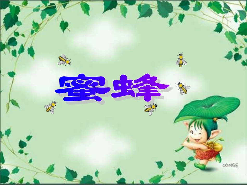小学三年级上册语文第十四课蜜蜂PPT课件2_第1页