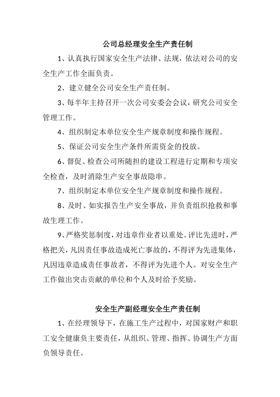 企业法人安全生产责任制_第2页