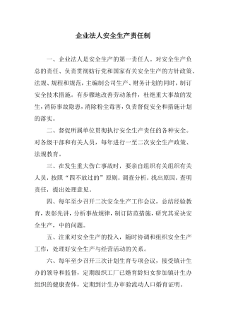 企业法人安全生产责任制