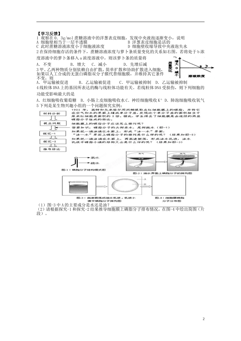 江苏省灌南高级中学高二生物 物质跨膜运输学案_第2页